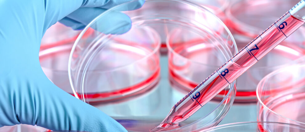 Research reagents image