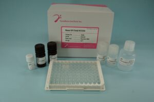 Export Business product image