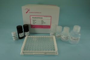 Export Business product image