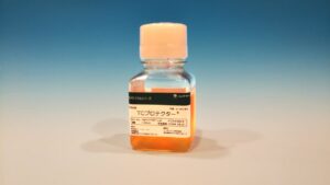 Export Business product image