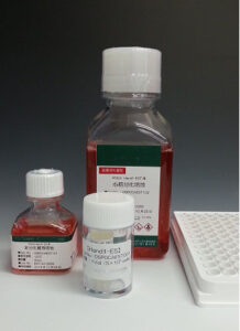 Export Business product image