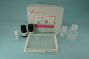 Export Business product image