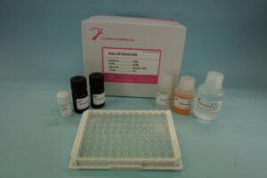 Export Business product image
